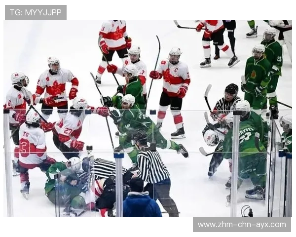 冰球选手互殴四分钟，裁判竟在旁观看