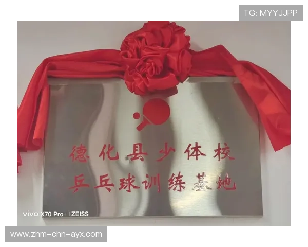 乒乓球俱乐部加强青少年技术成长的阶段性评估,青少年乒乓球培训基地 乒乓球俱乐部加强青少年技术成长的阶段性评估,青少年乒乓球培训基地